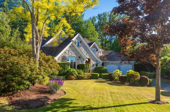 Lawn Care and Landscaping in Greensboro