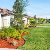 Mulching and soil preparation