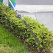 Tree and shrub trimming