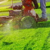Lawn mowing and maintenance