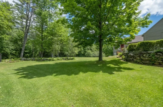 Landscaping and Lawn Care in Raleigh