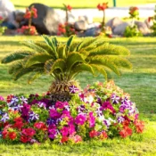 Landscaping Services Include