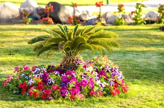 Lawn Care and Landscaping in Mooresville