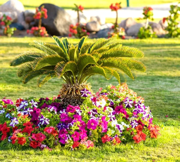 Lawn Care and Landscaping in Fort Mill