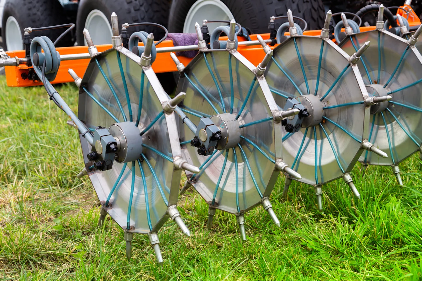 aeration and overseeding