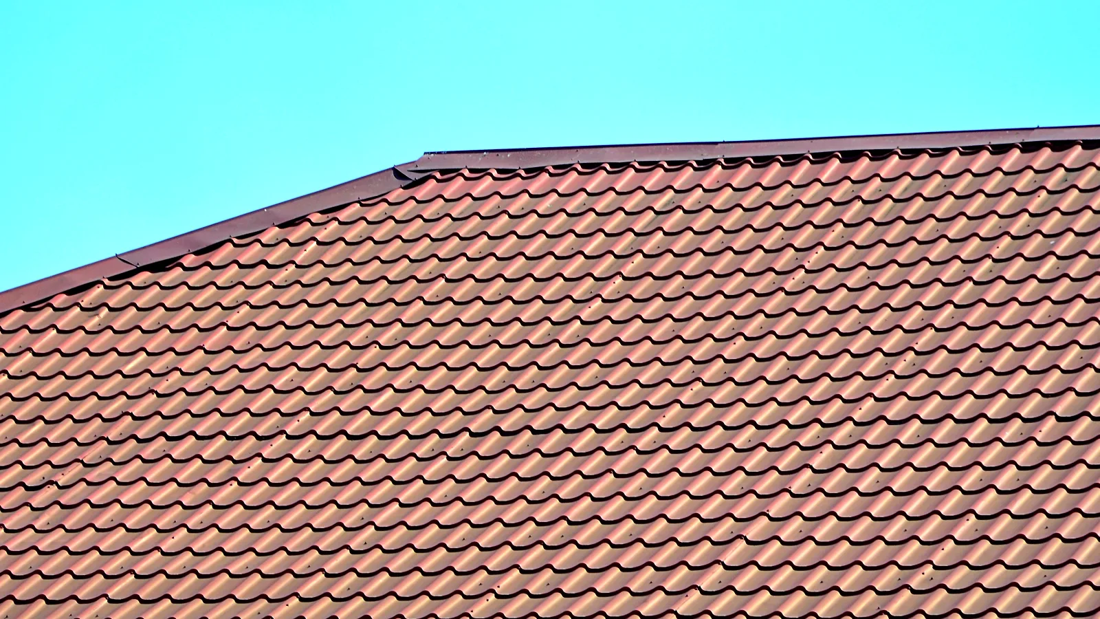 0_brown-roof-tiles-underneath-a-light-blue-sky-2026-03-25-04-45-57-utc Professional roof reparation services