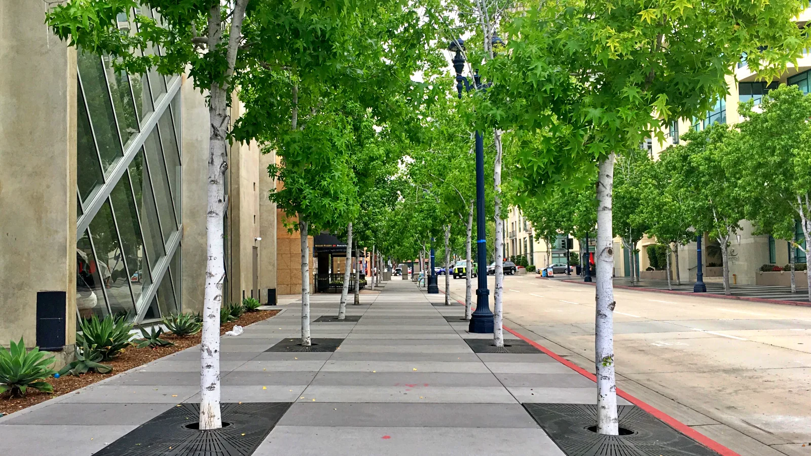 Sidewalk Contractors in Monroe