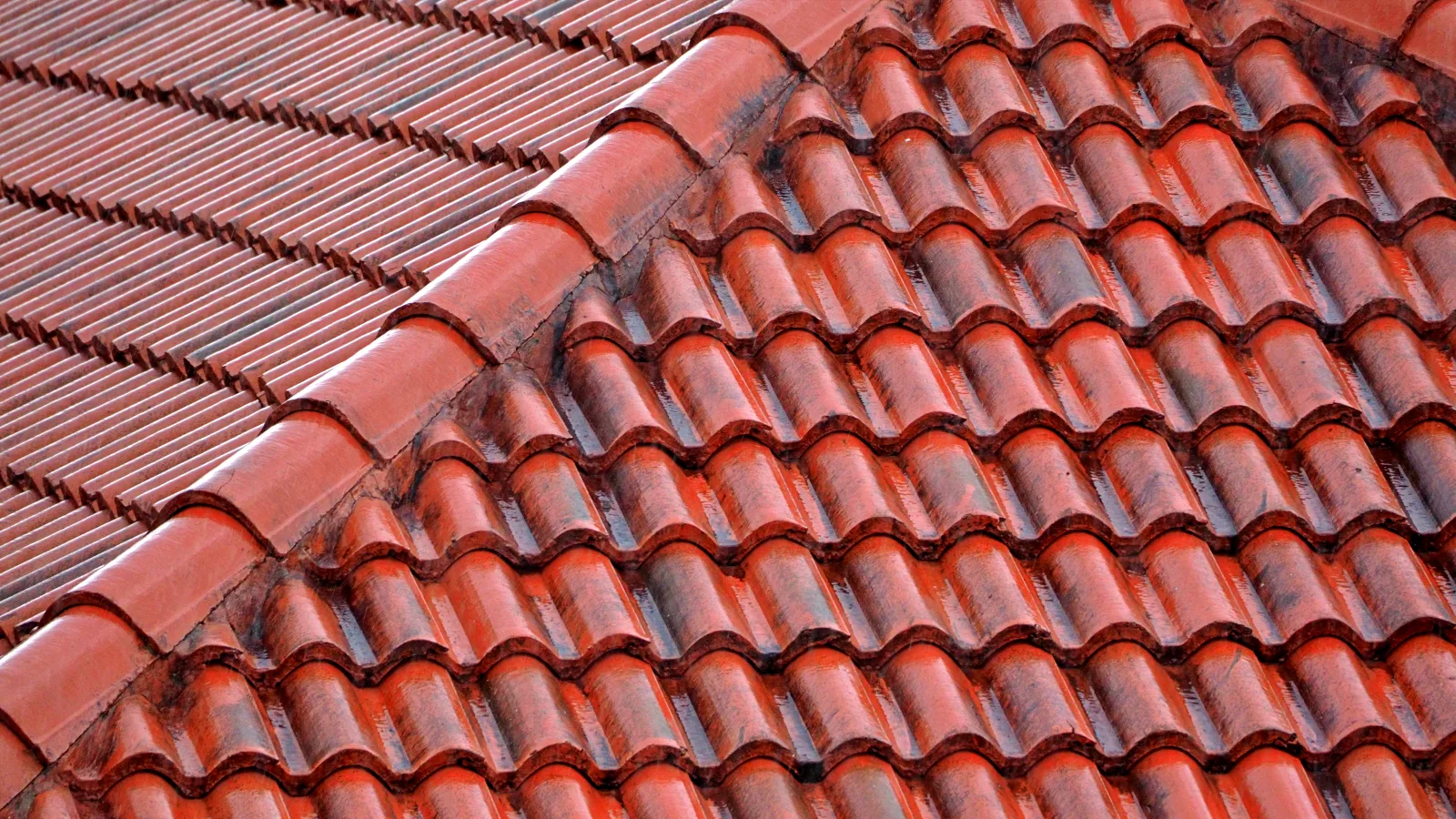 Full-Service Roof Contracting