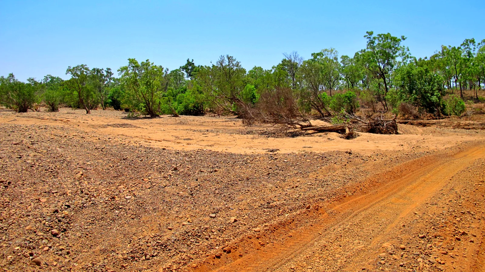 0_gibb-river-kimberley-western-australia-2026-01-11-09-44-00-utc Reliable Tree Contractors
