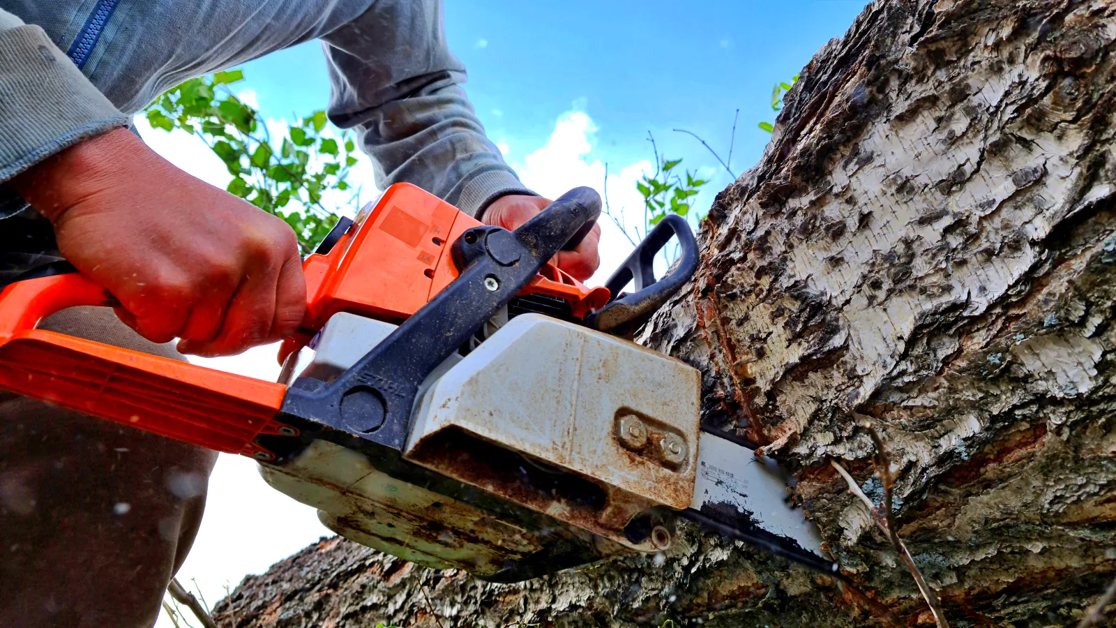 Advanced Tree Services