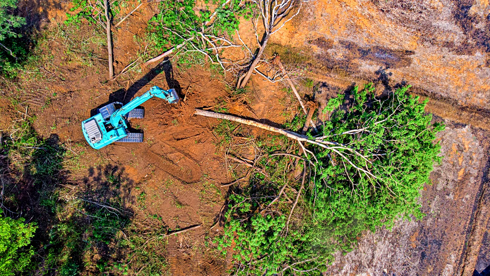 Guaranteed Tree Services