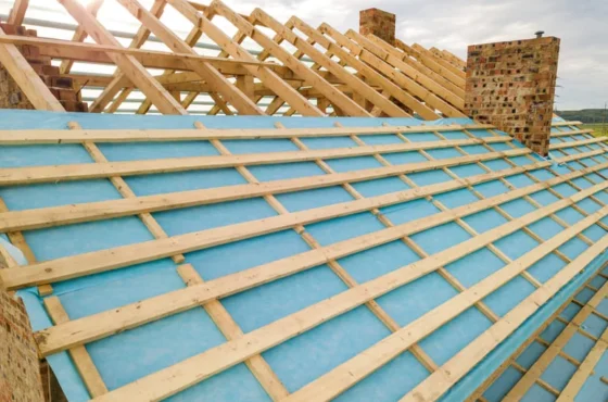 Signs Your Roof Needs Immediate Repair: Protect Your Home Before It’s Too Late