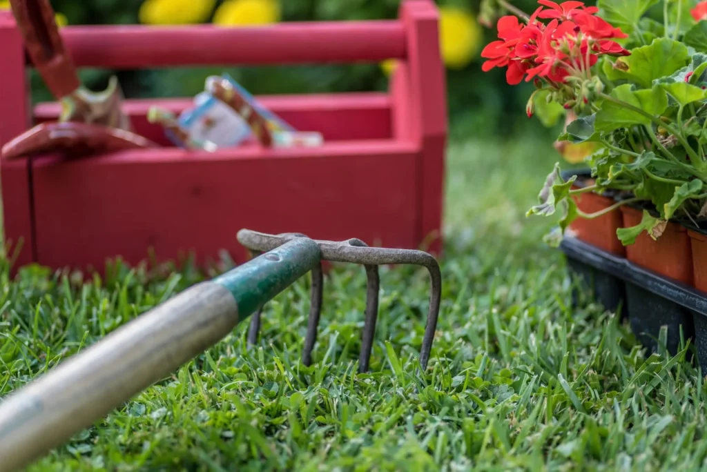 how often should you mow your lawn in North Carolina