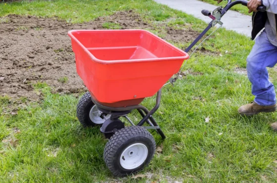 When Is the Best Time to Fertilize a Lawn in North Carolina?