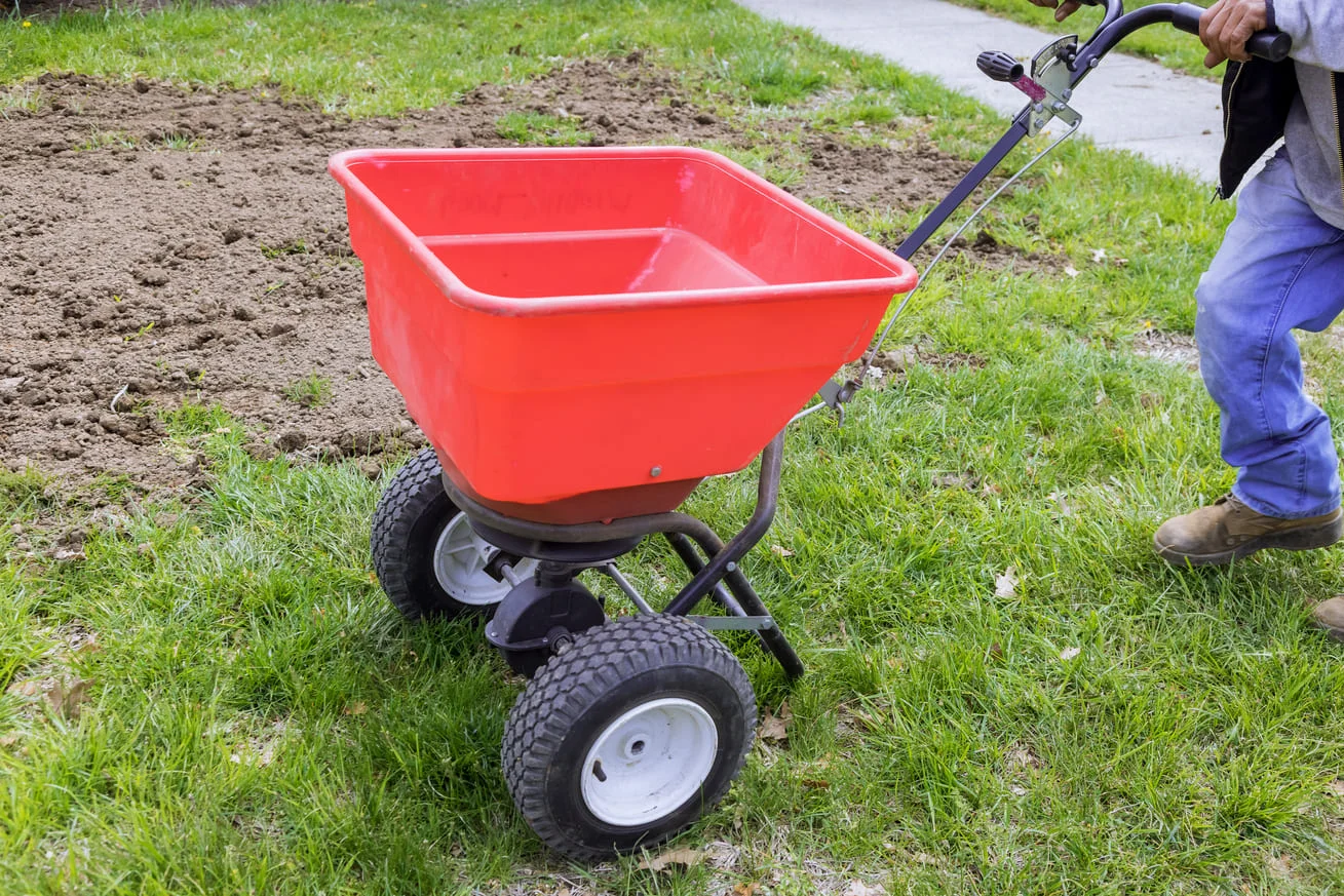 best time to fertilize a lawn in North Carolina