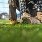 how often should you mow your lawn in North Carolina