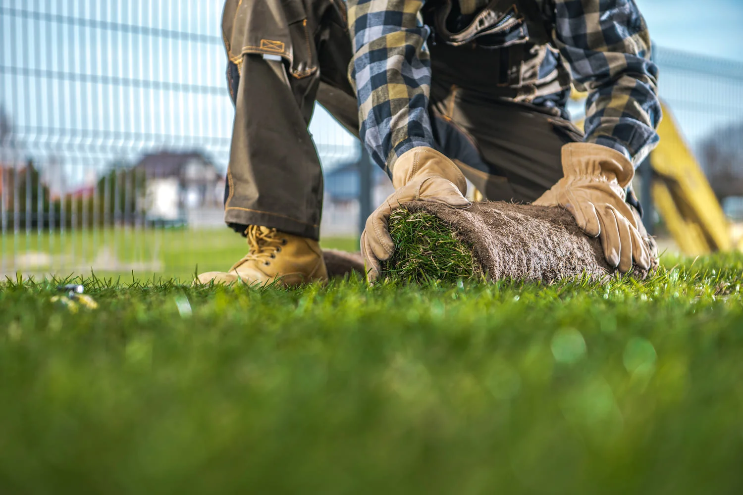 how often should you mow your lawn in North Carolina
